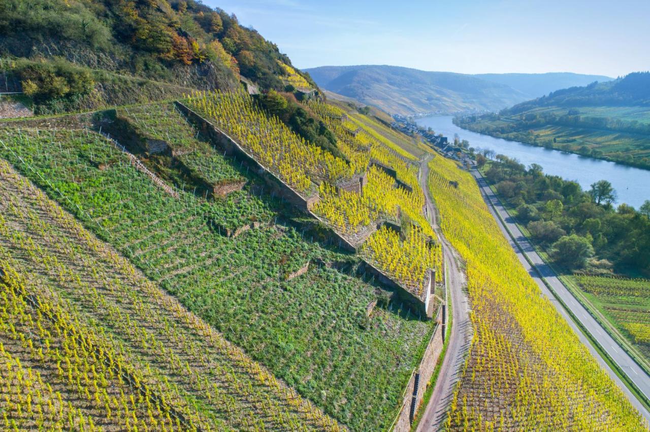 Das Haus In Spay An Der Mosel Mit Sauna Zell Eksteriør billede